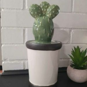 Boutique Ceramic Cactus Jar